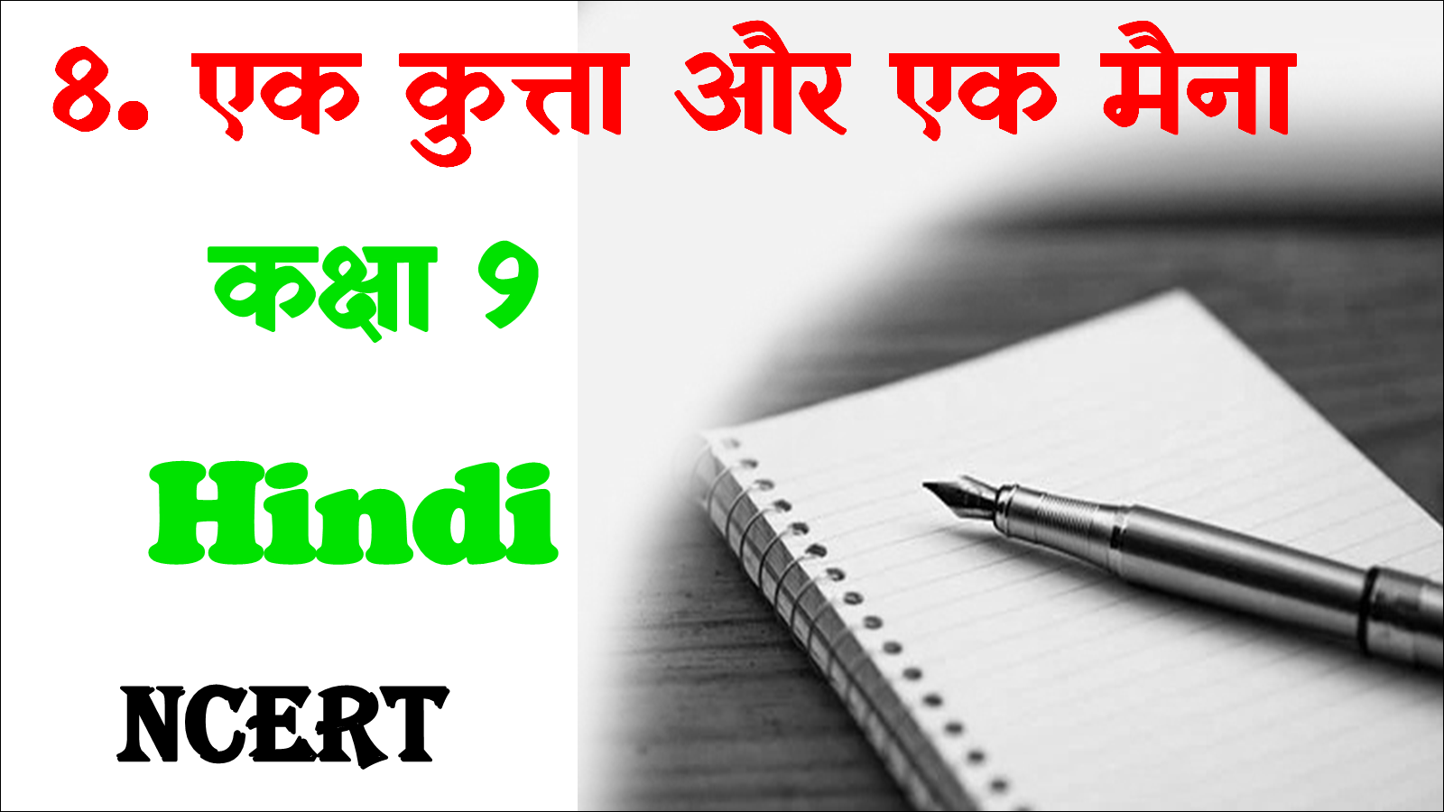 Ek Kutta aur ek maina class 9 mcq